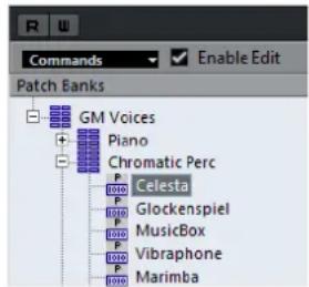 STEINBERG Cubase Elements 10.5 - RÉSULTAT - 1