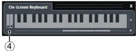 STEINBERG Cubase Elements 10.5 - Options du Clavier à l'écran - 2