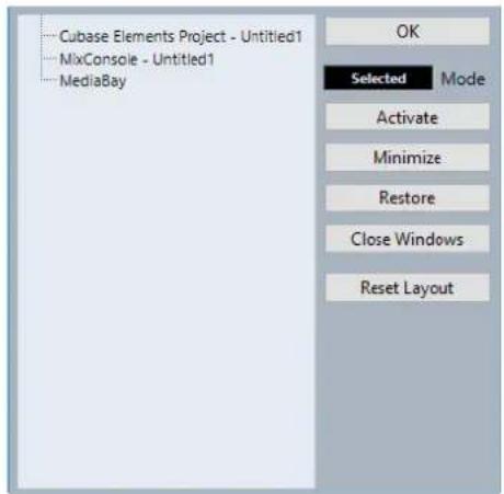 STEINBERG Cubase Elements 10.5 - Boîte de dialogue Fenêtres - 1