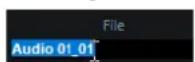 STEINBERG Cubase Elements 10.5 - PROCEDARANSI - 1
