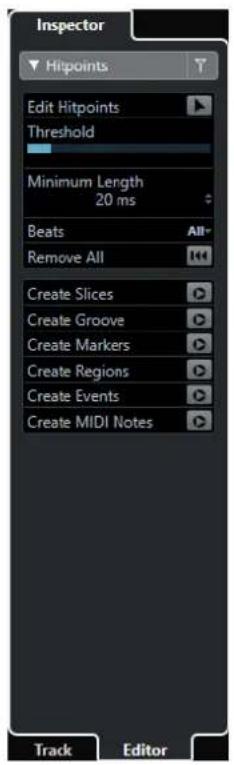 STEINBERG Cubase Elements 10.5 - PROCEDARANSI - 1