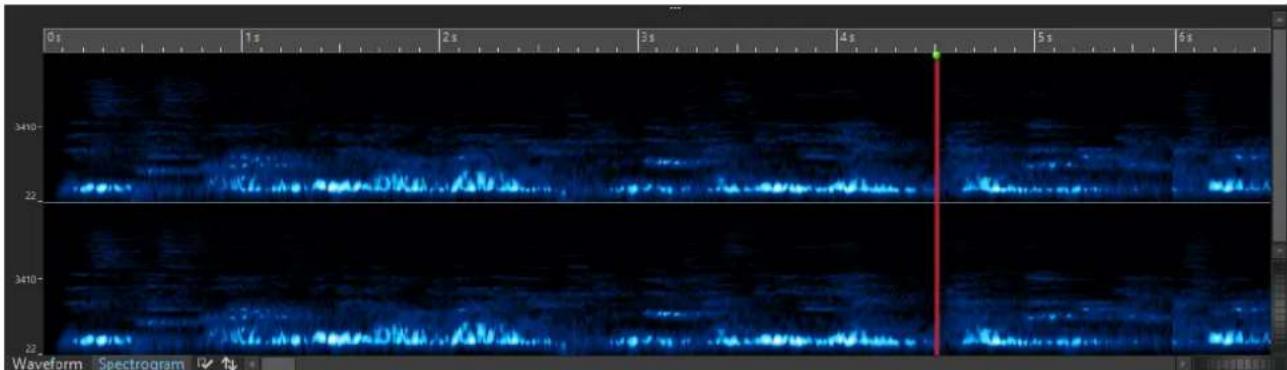 STEINBERG Wavelab Elements 10 - Spectrogramme - 1