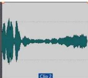 STEINBERG Wavelab Elements 10 - Clips - 2