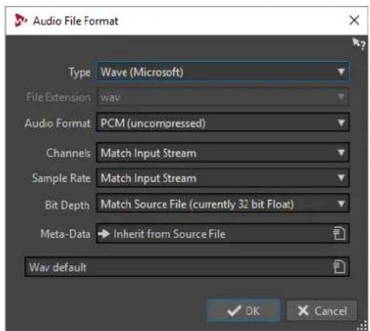 STEINBERG Wavelab Elements 10 - Boîte de dialogue Format de fichier audio - 1