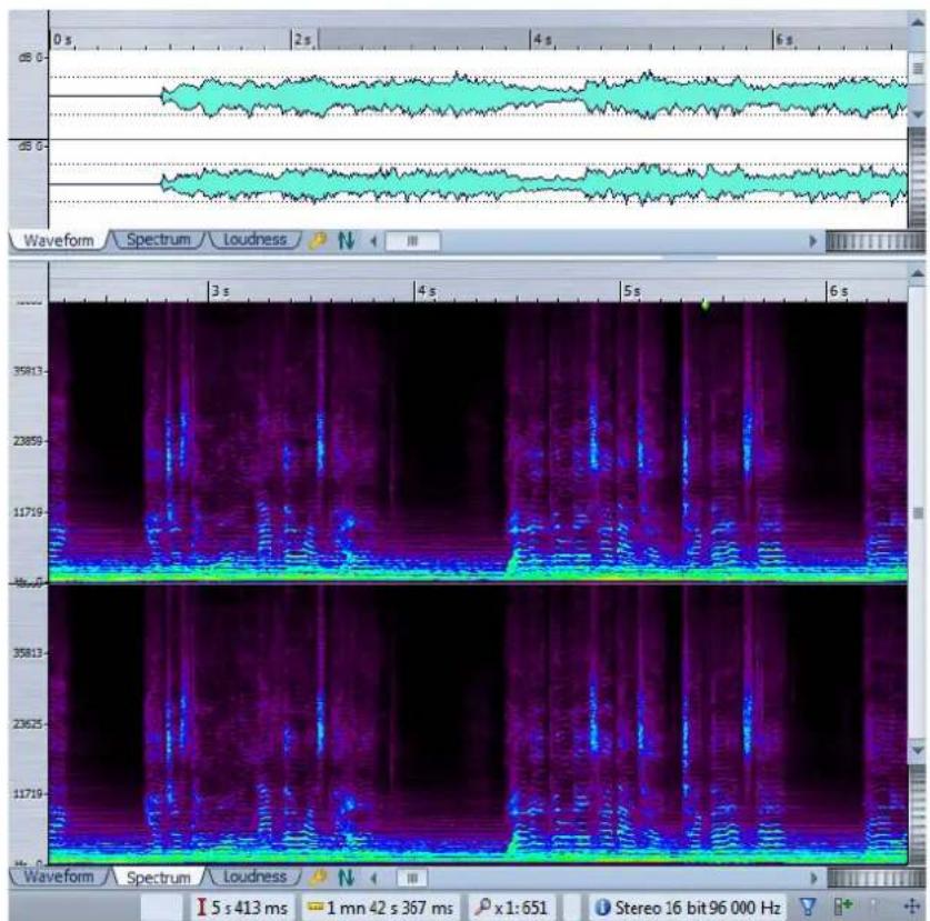 STEINBERG Wavelab 8.5 - Onglet Spectre - 1