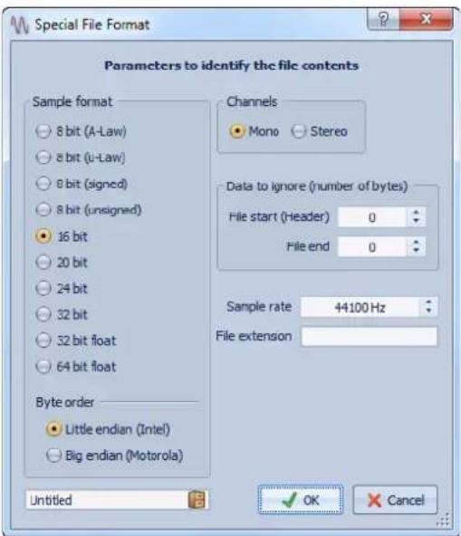 STEINBERG Wavelab 8.5 - Boîte de dialogue Format spécial de fichier - 1