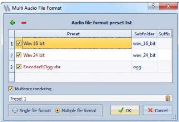 STEINBERG Wavelab 8.5 - Boite de dialogue Format de Fichier Audio Multiple - 1
