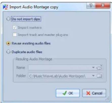STEINBERG Wavelab 8.5 - Boîte de dialogue Importer une copie de Montage Audio - 1
