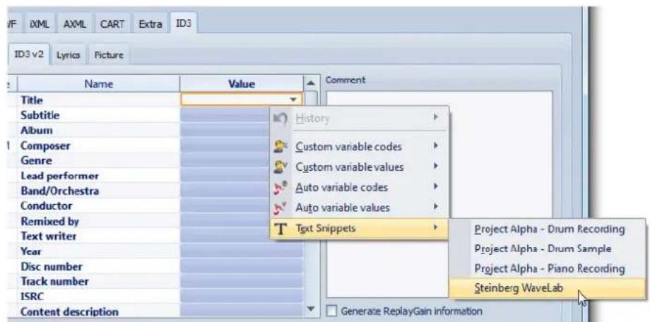 STEINBERG Wavelab 8.5 - Variables et fragments de texte - 1