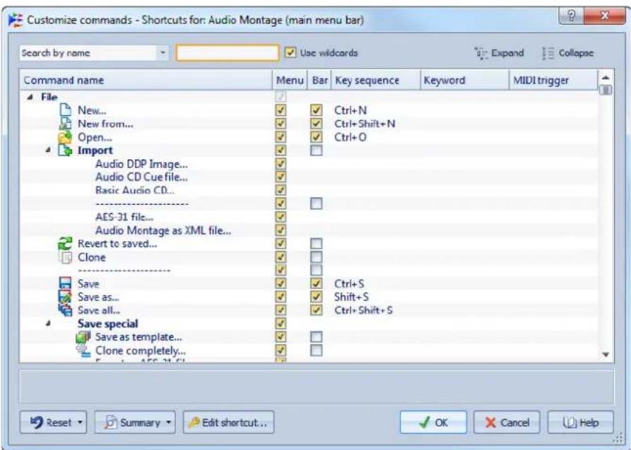 STEINBERG Wavelab 8.5 - Boîte de dialogue Personneliser les commandes - 1