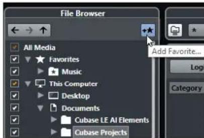 STEINBERG Cubase Pro 9.5 - PROCEDARINSI - 1
