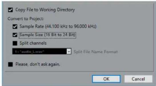 STEINBERG Cubase Pro 9.5 - Boîte de dialogue Options d'import - 1