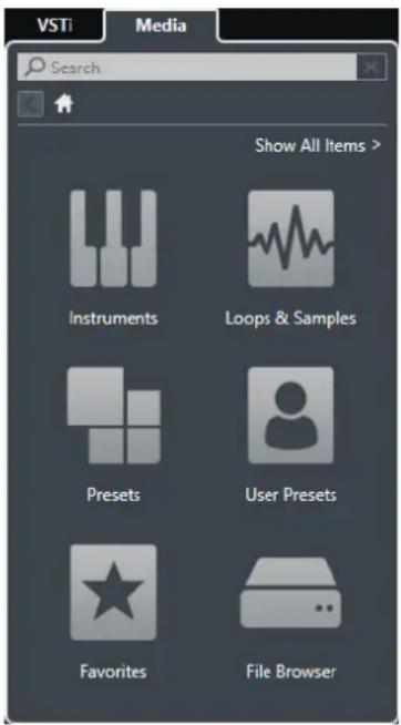 STEINBERG Cubase Pro 9.5 - Rack de Media dans la zone droite - 1