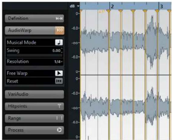 STEINBERG Cubase Pro 9.5 - Warp libre - 1