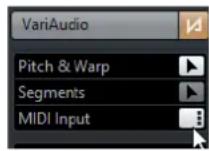 STEINBERG Cubase Pro 9.5 - PROCEDARINSI - 1