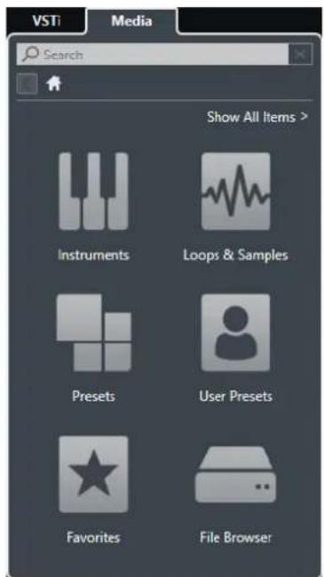 STEINBERG Cubase Pro 9.5 - Rack de Media de la zone droite - 1