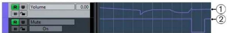 STEINBERG Cubase Pro 9.5 - Courbes d'automatisation - 1