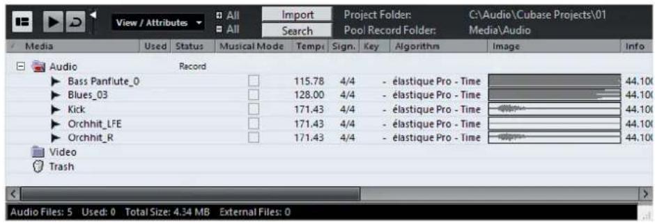 STEINBERG Cubase Pro 9.5 - Fenêtre Bibliothèque - 1