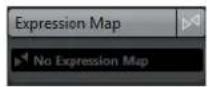 STEINBERG Cubase Pro 9.5 - Expression Map - 1