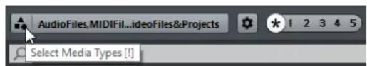 STEINBERG Cubase Pro 9.5 - PROCEDARANSI - 1