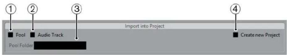 STEINBERG Cubase Pro 9.5 - Importer dans le projet - 1