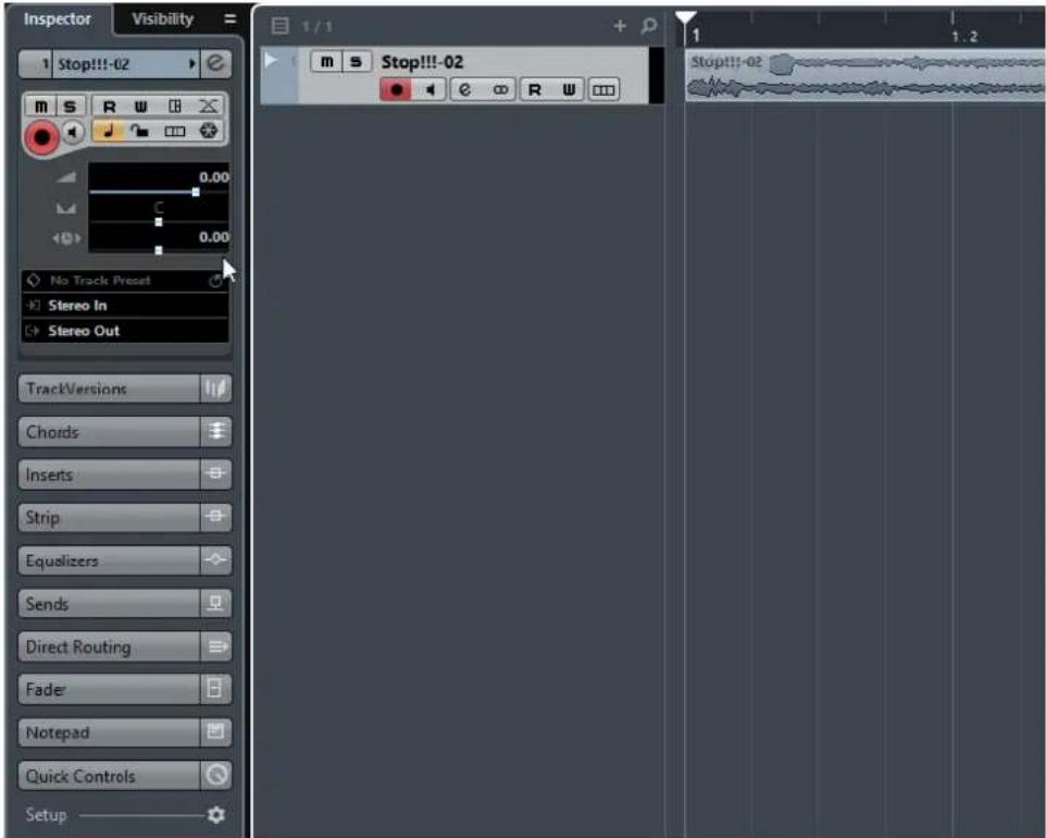 STEINBERG Cubase Pro 9.5 - Ne pas inclure les fichiers video - 1