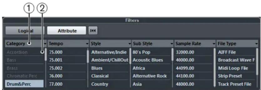 STEINBERG Cubase Pro 9.5 - Filtred'attributes - 1