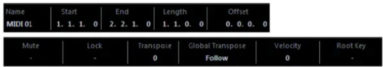 STEINBERG Cubase Pro 9.5 - Ligne d'infos - 1