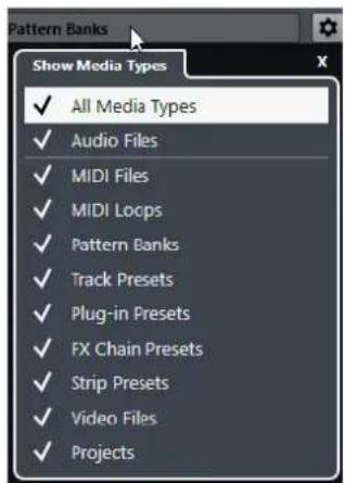 STEINBERG Cubase Pro 9.5 - Sélecteur Afficher types de média - 1