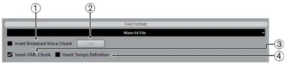 STEINBERG Cubase Pro 9.5 - Fichiers Wave 64 - 1