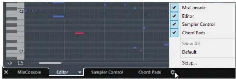 STEINBERG Cubase Pro 9.5 - PROCEDERAINSI - 1