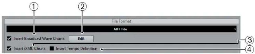 STEINBERG Cubase Pro 9.5 - Fichiers AIFF - 1