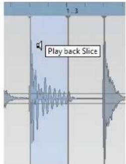 STEINBERG Cubase Pro 9.5 - PROCEDARINSI - 2