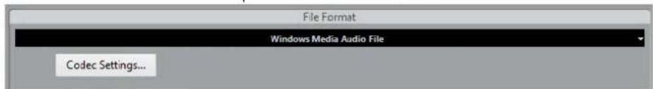 STEINBERG Cubase Pro 9.5 - Fichiers Windows Media Audio (Windows uniqueness) - 1