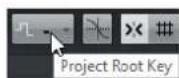 STEINBERG Cubase Pro 9.5 - Tonalité de base du projet - 1