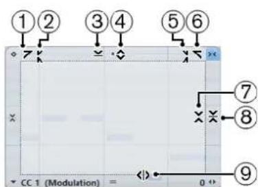 STEINBERG Cubase Pro 9.5 - Éditeur d'événements Note Expression - 1