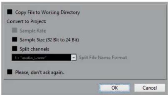 STEINBERG Cubase Pro 9.5 - Boîte de dialogue Options d'import - 1
