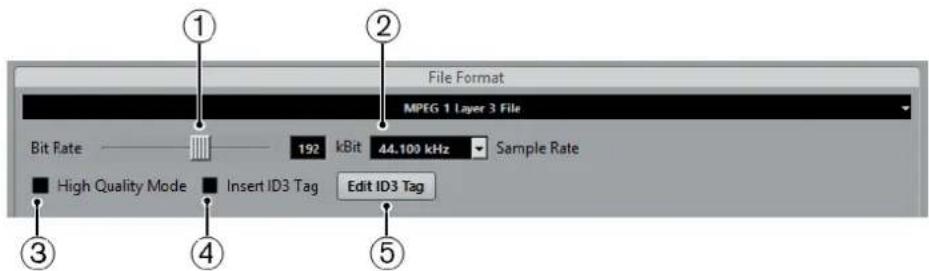 STEINBERG Cubase Pro 9.5 - Fichiers MP3 (MPEG-1 Niveau 3) - 1