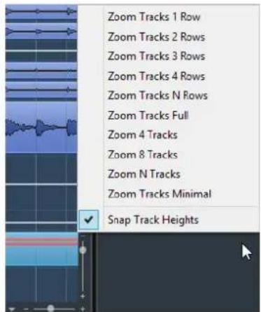 STEINBERG Cubase Pro 9.5 - Menu Zoom des pistes - 1