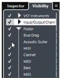 STEINBERG Cubase Pro 9.5 - Afficher/Masquer des pistes individuelles - 1