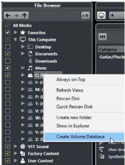 STEINBERG Cubase Pro 9.5 - PROCEDARANSI - 1
