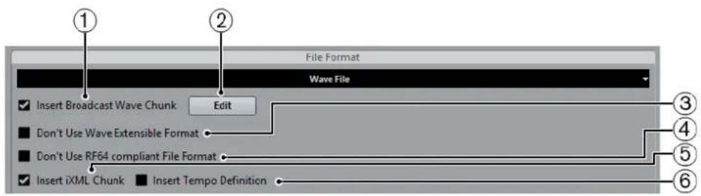 STEINBERG Cubase Pro 9.5 - Fichiers Wave - 1