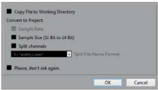 STEINBERG Cubase Pro 9.5 - Options d'importation des fichiers audio - 1