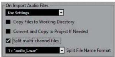 STEINBERG Cubase Pro 9.5 - Paramètres de la section En cas d'import de fichier audio - 1