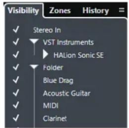 STEINBERG Cubase Pro 9.5 - Onglet Visibilité - 1