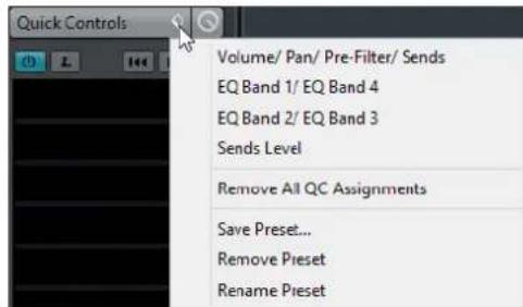 STEINBERG Cubase Pro 9.5 - PROCEDARANSI - 1