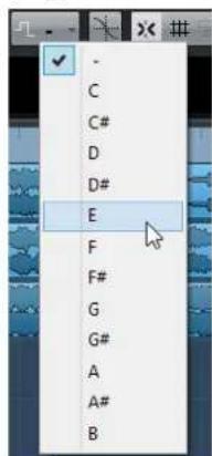 STEINBERG Cubase Pro 9.5 - PROCEDERAINSI - 1