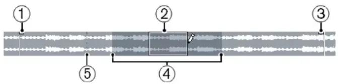 STEINBERG Cubase Pro 9.5 - Barre d'aperçu - 1