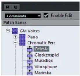 STEINBERG Cubase Pro 9.5 - RÉSULTAT - 1