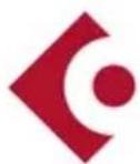 STEINBERG Cubase AI 9 - 2